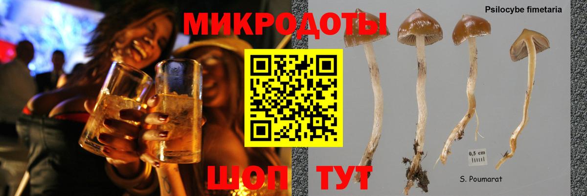 Галлюциногенные грибы ЛСД Калач-на-Дону